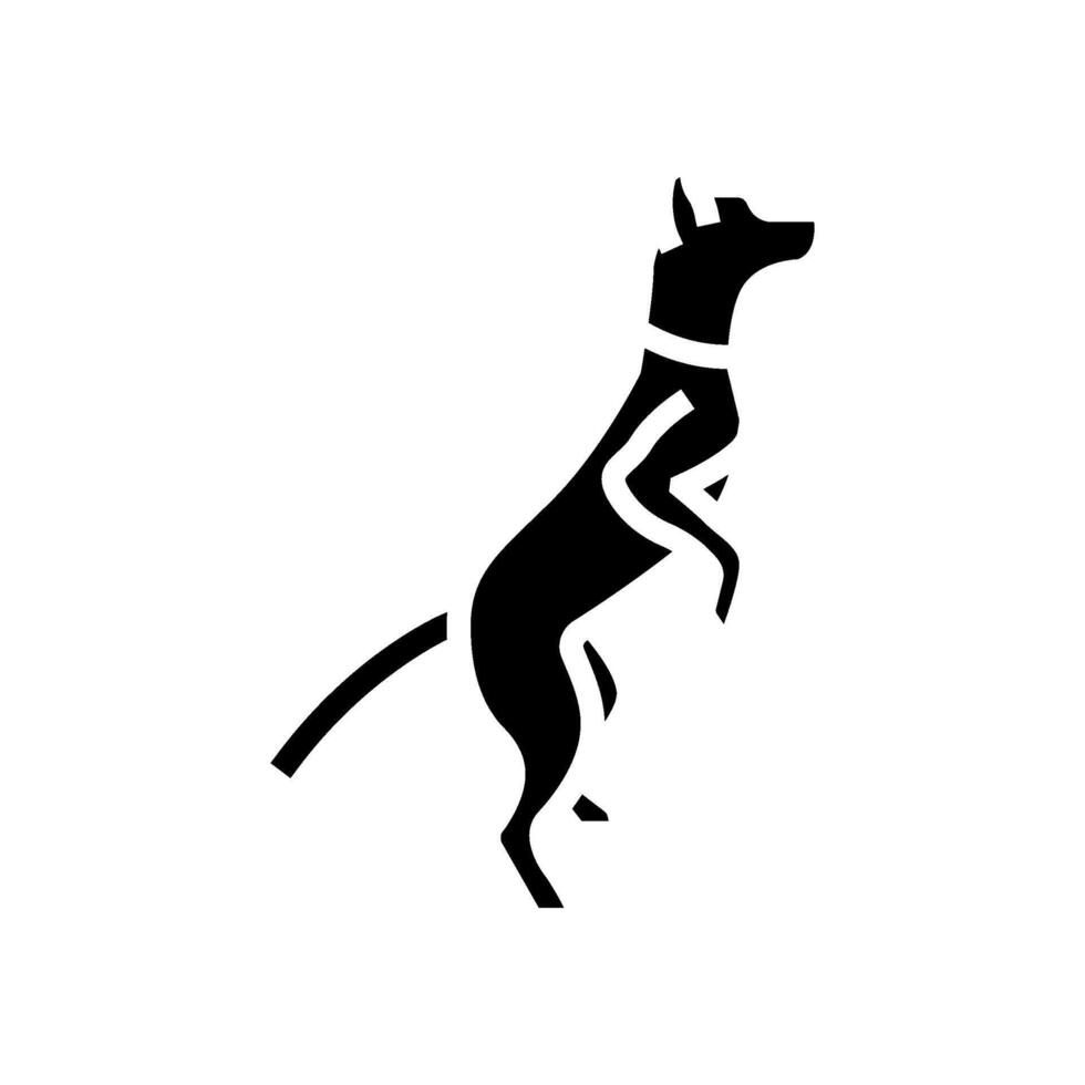 standing tall dog competition show glyph icon illustration vector