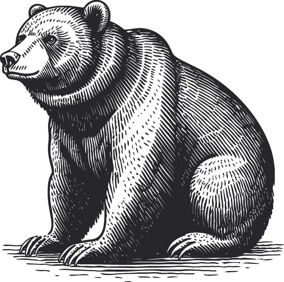 Detailed Illustration of a Realistic Bear in Black and White Art vector