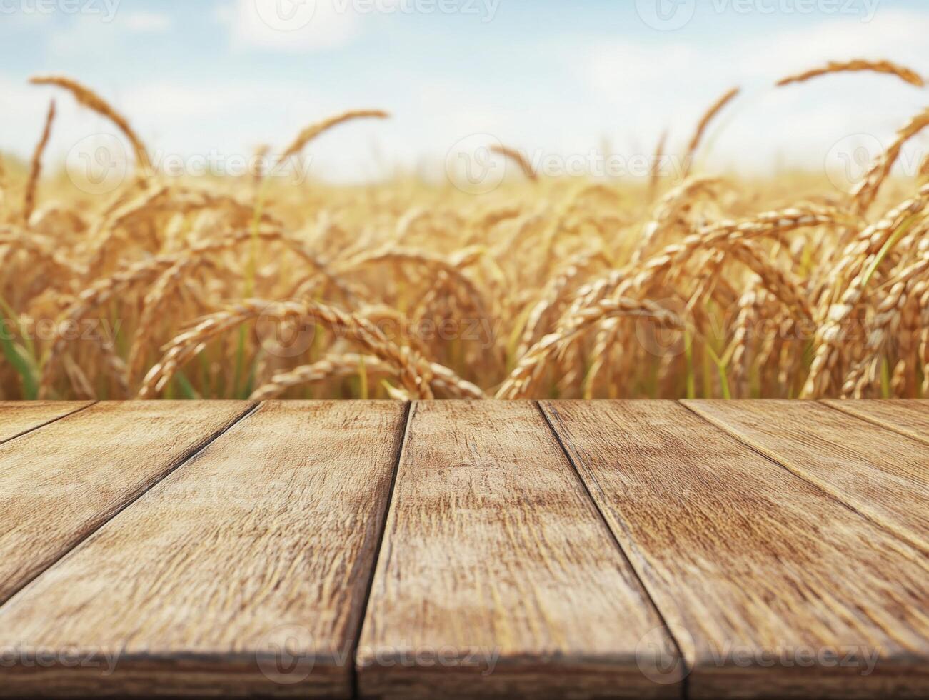 Wheat field with wooden surface in bright daylight photo