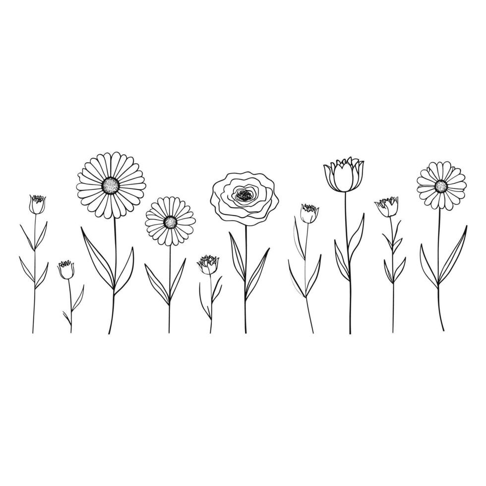 Outline Handdrawn Flower Field Simple Botanical Illustration vector