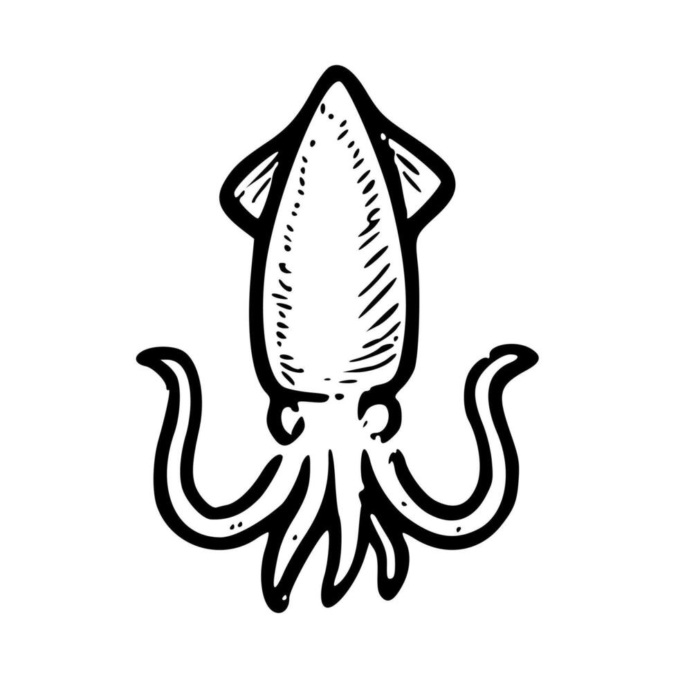 Hand Drawn Doodle Squid Ink Illustration Animal Seafood Icon vector