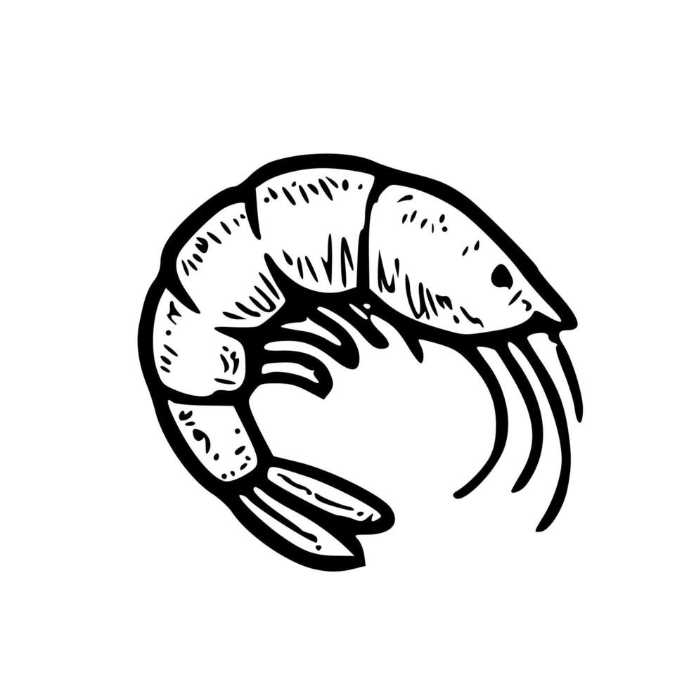 Handdrawn Outline Shrimp Seafood Illustration Shape Icon vector