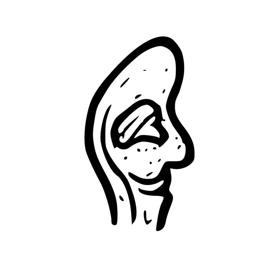 Simple Handdrawn Ear Anatomy Doodle Medical Illustration Isolated Silhouette vector