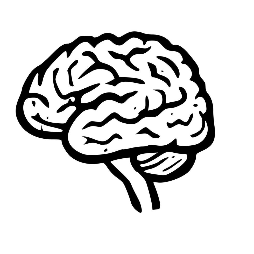 Simple Lineart Brain Anatomy Medical Organ Structure and Function Icon vector