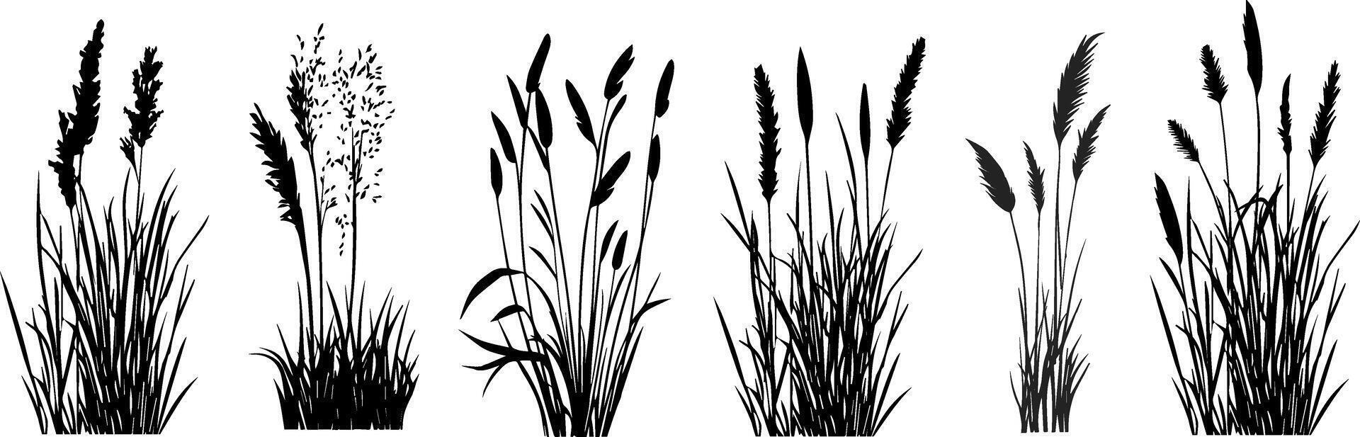 Set of grasses and plants illustration vector