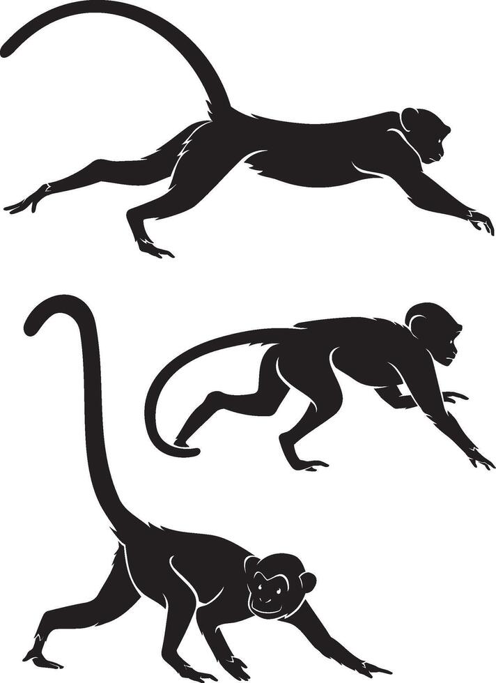 Monkey Crawling Silhouette vector