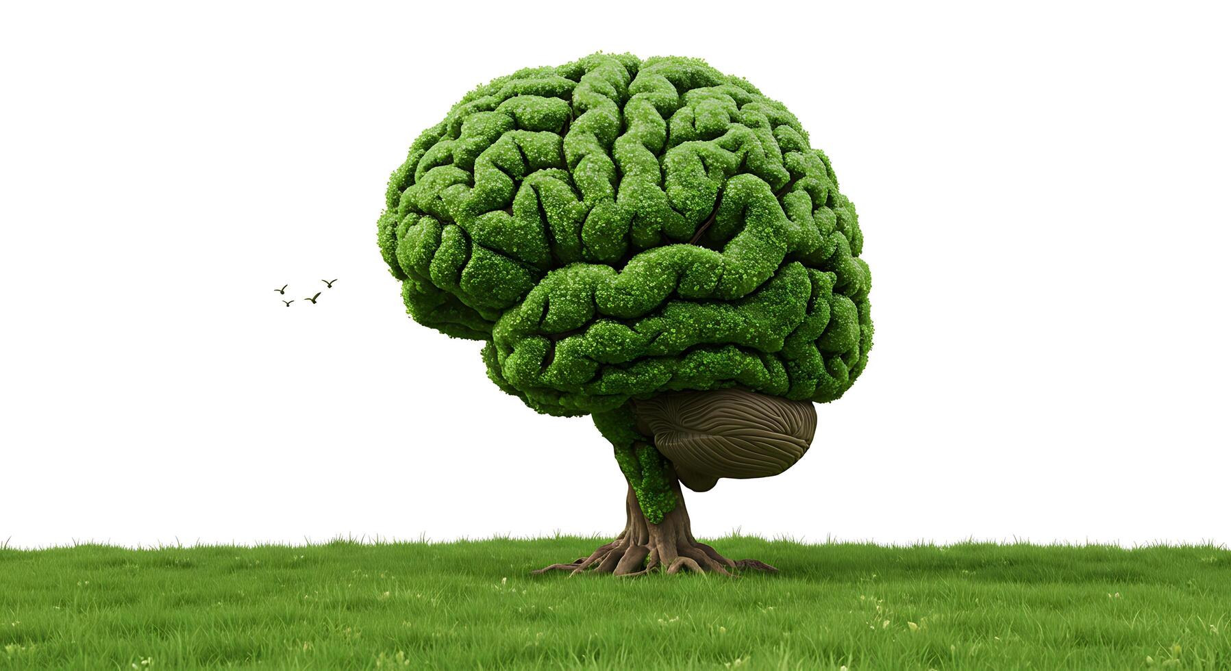 A brain shaped tree on a grassy field photo