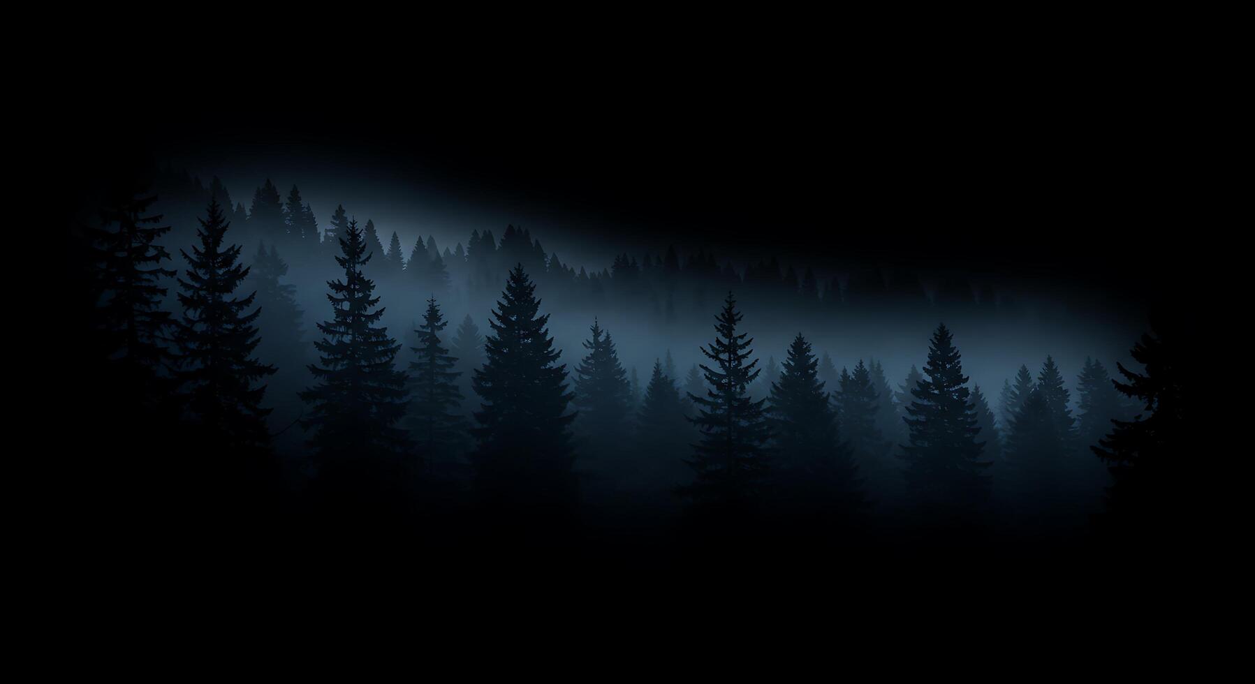 Dark forest with trees and fog photo