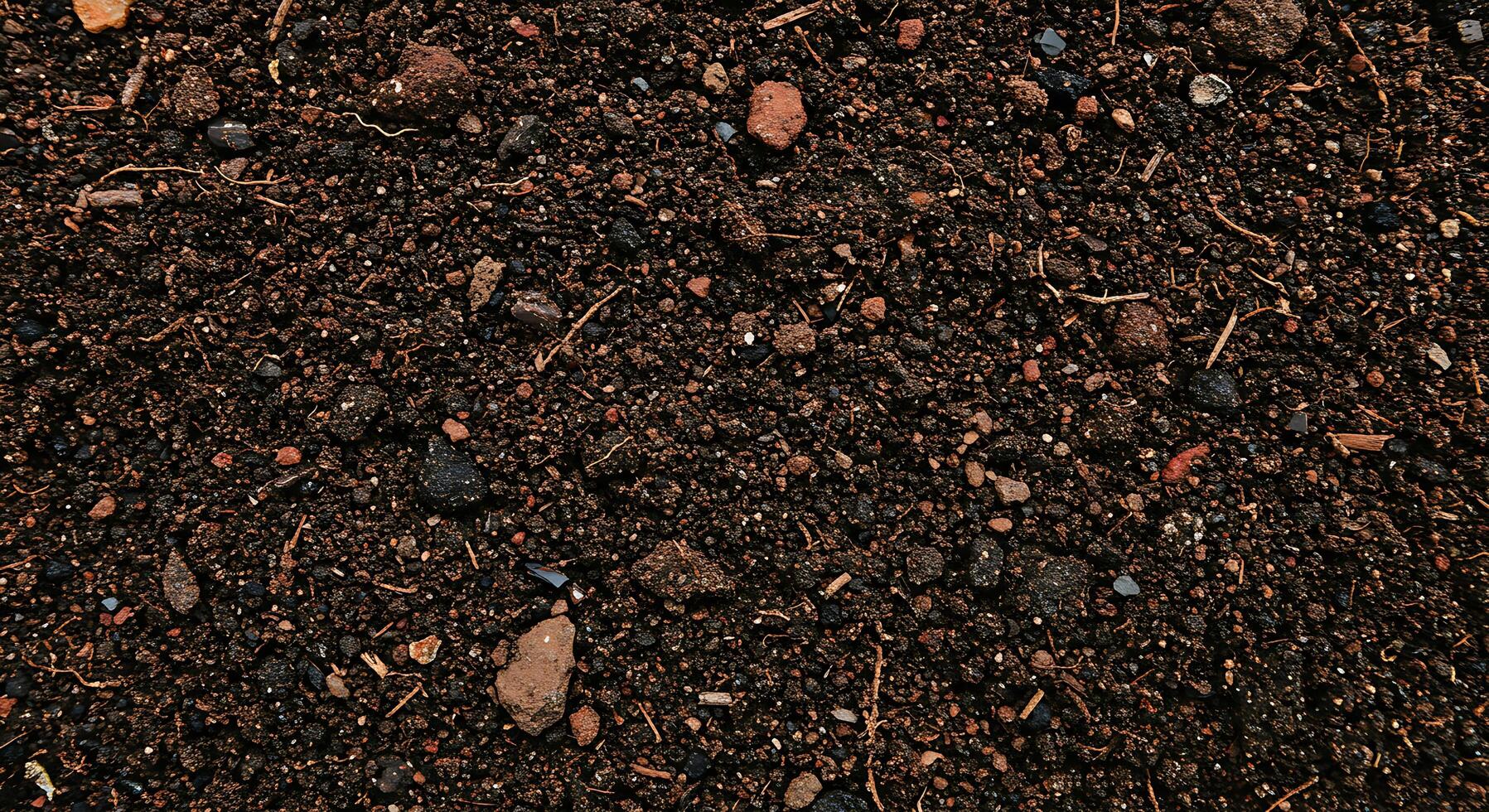 A close up of soil with rocks and dirt photo