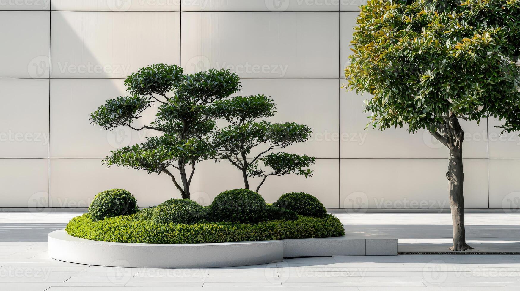 A small tree is sitting in a white planter photo