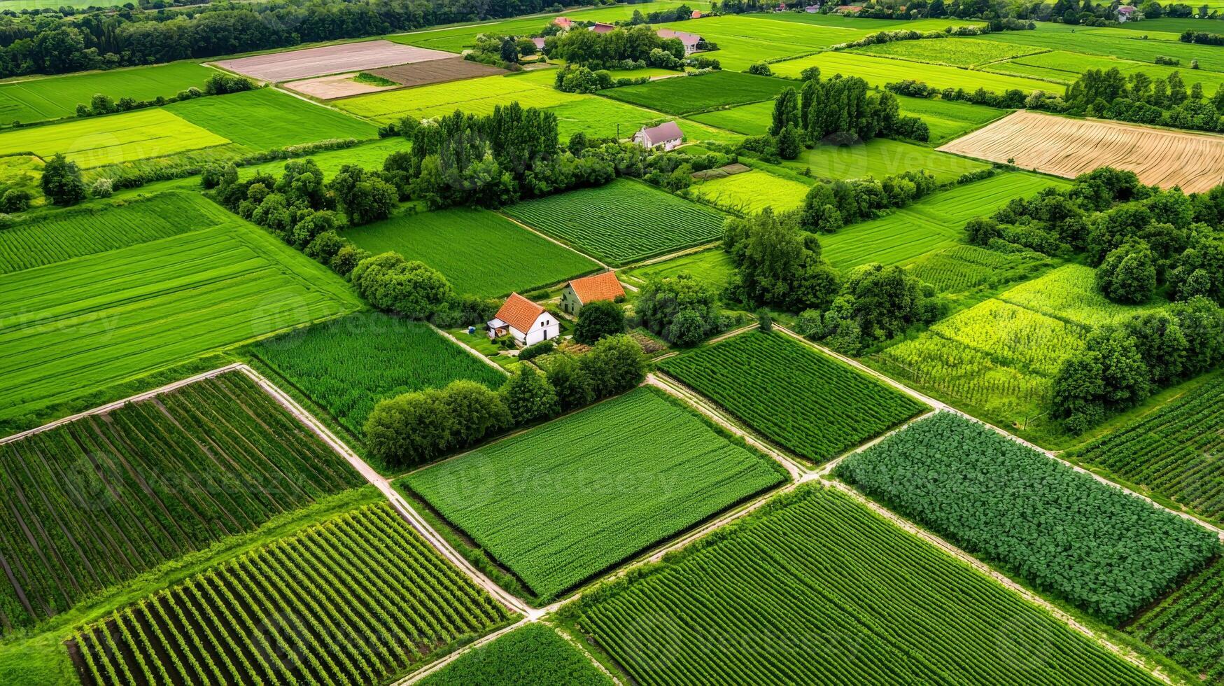 An aerial view of a farm and fields photo