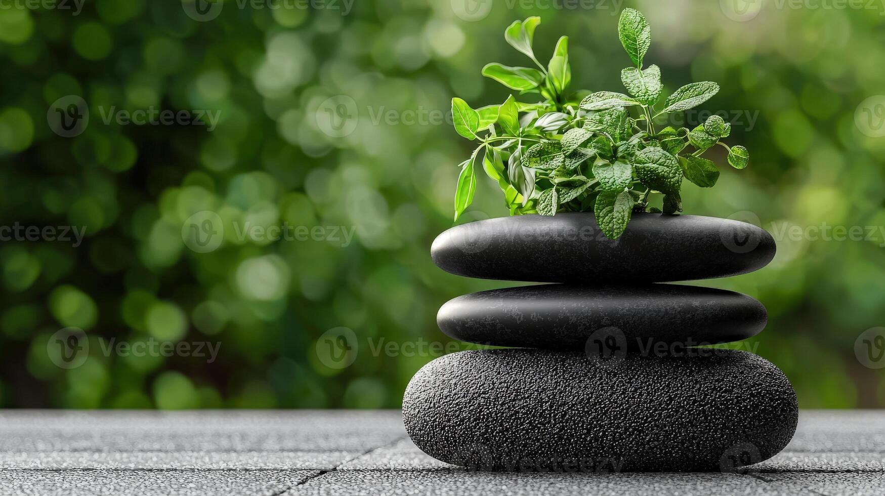 A stack of black stones with a plant on top photo
