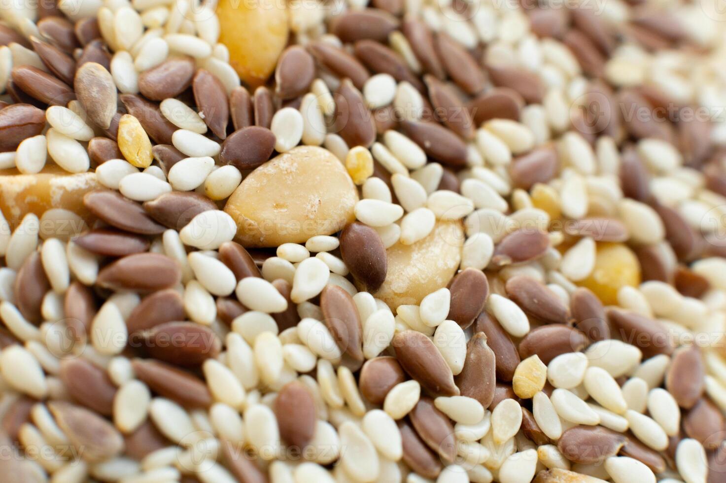 pile of sesame, flax and chickpea seeds. Macro shot of a salad dressing kit with healthy seeds photo