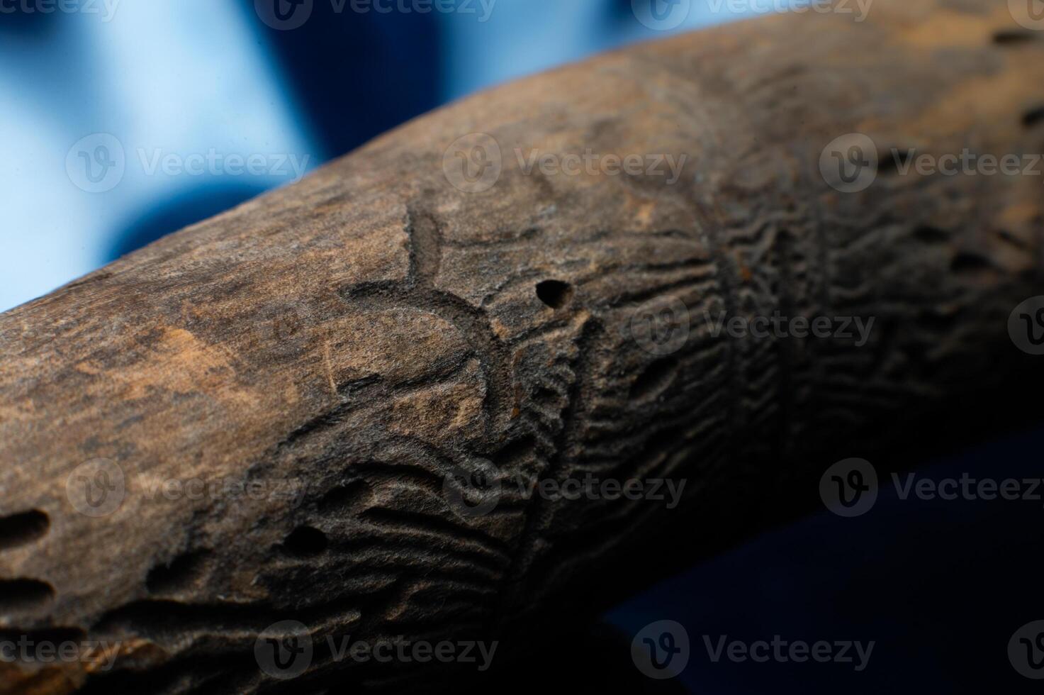 Close-up macro shot with shallow depth of field. A beetle-eaten branch of dry wood photo