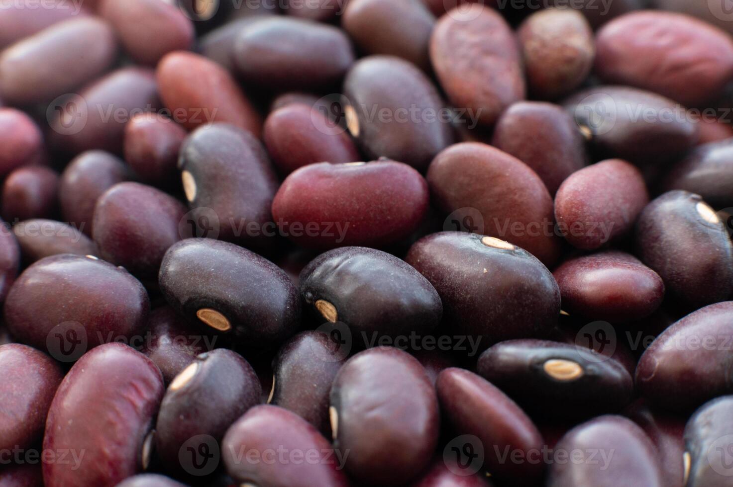 Background with red raw organic healthy bean seeds. Macro shot of food, fresh dry beans photo