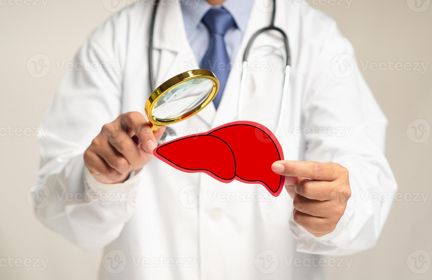 Doctor holding a magnifying glass and looking at a liver-shaped symbol while standing in a hospital photo