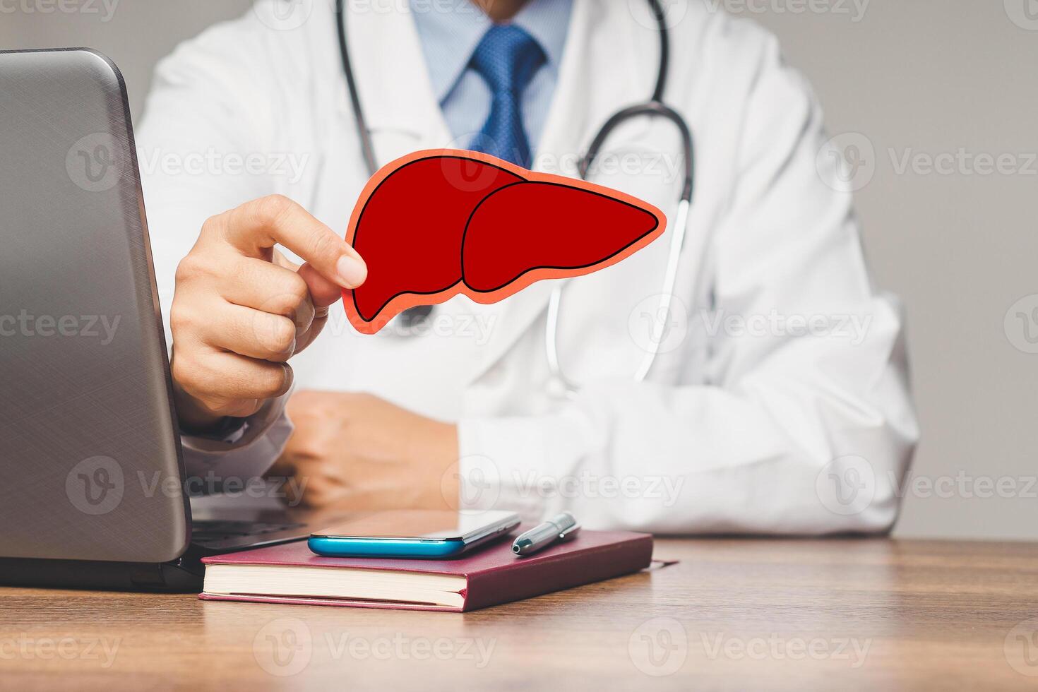 Doctor holding a liver shape symbol while sitting in a hospital photo