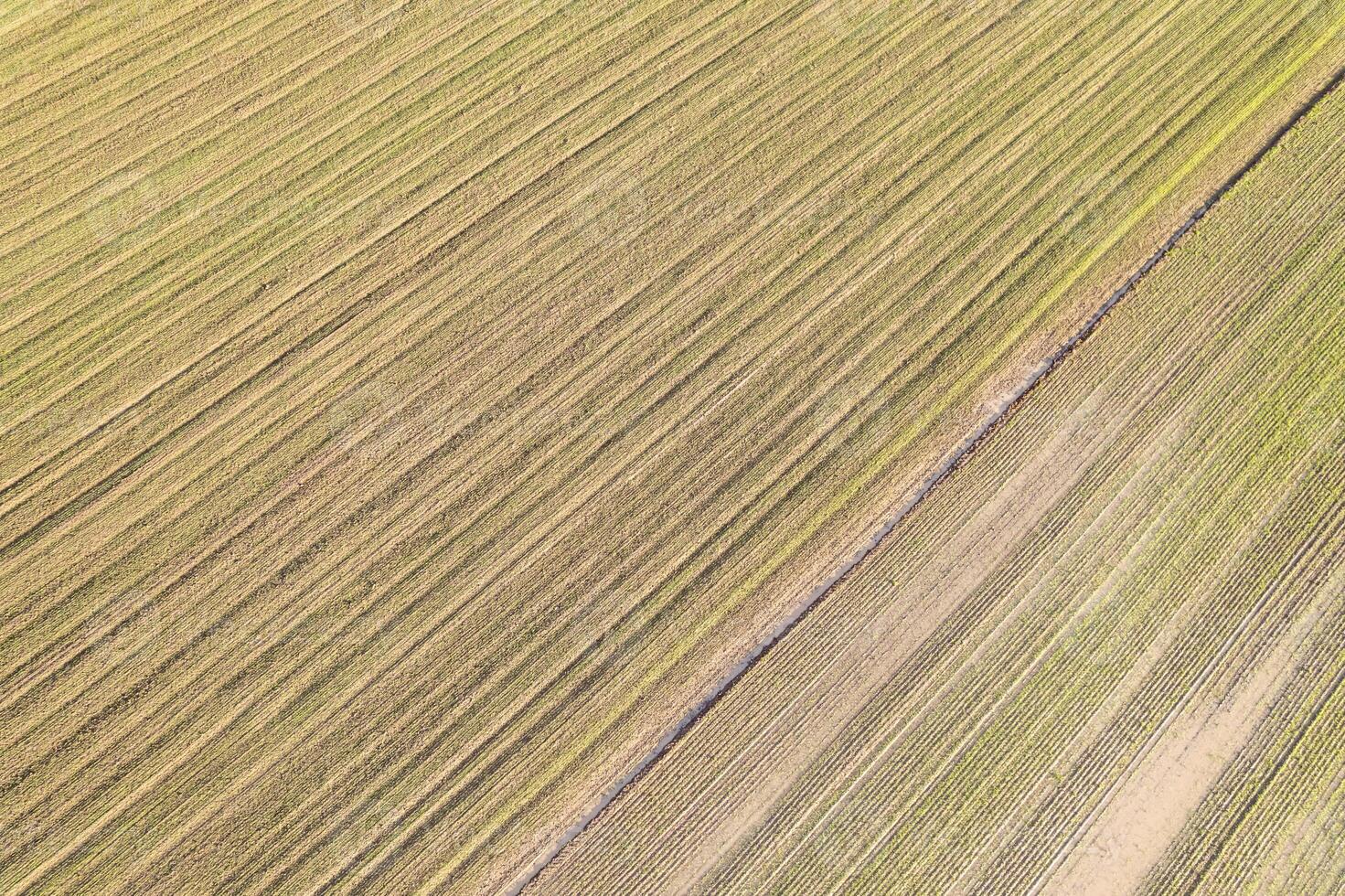 aerial drone view of agricultural field rows and texture, abstract image of farm field textures and lines photo