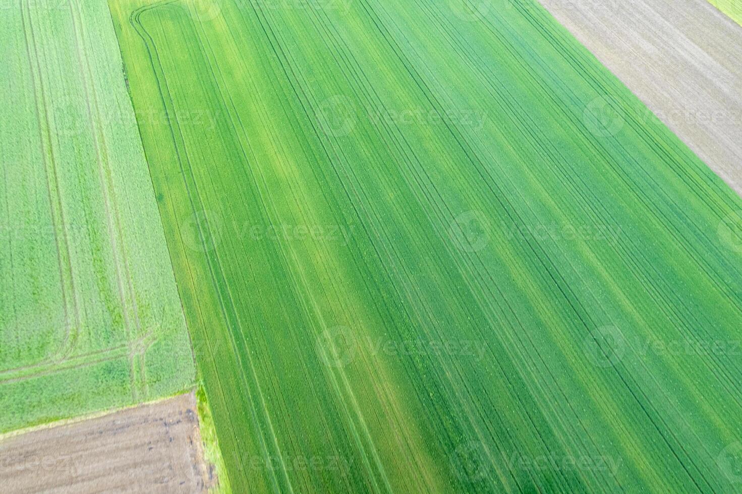 agricultural fields of vegetables and cereals in spring, aerial view by drone. Agriculture concept photo