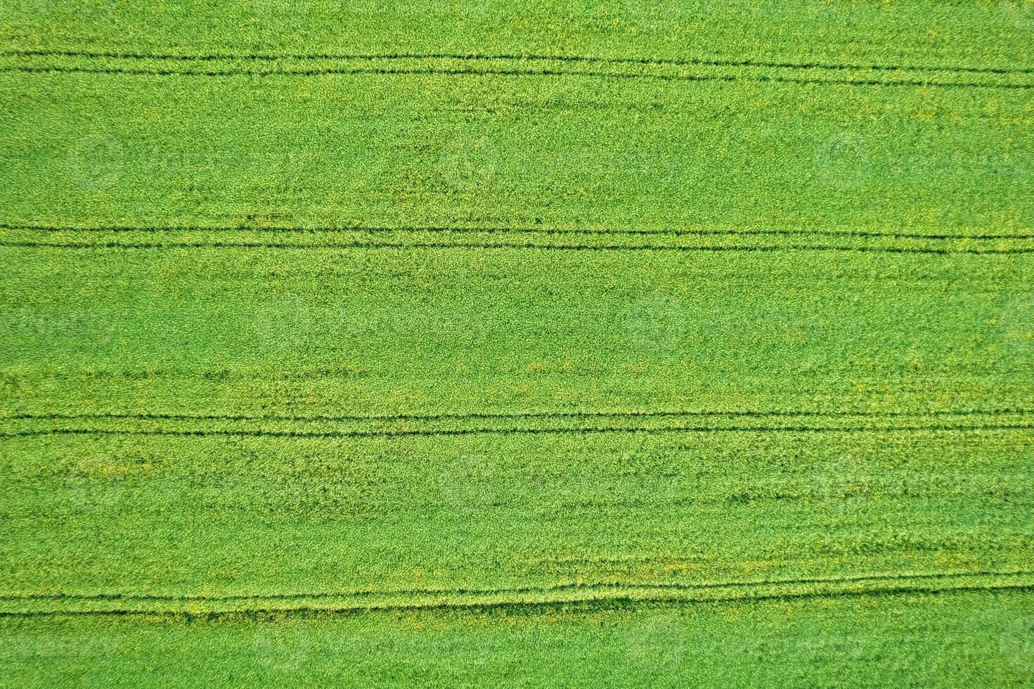 zenithal drone view of agricultural fields in spring, textured background for agriculture concept photo