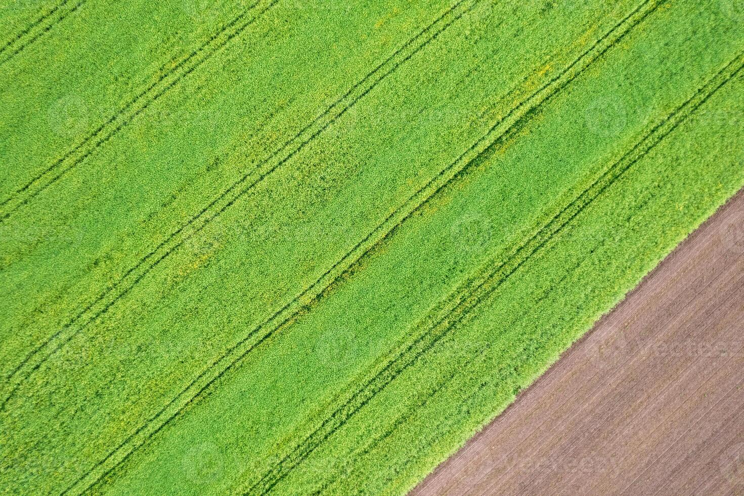 aerial top down view of agricultural fields in spring, background for agriculture concept photo