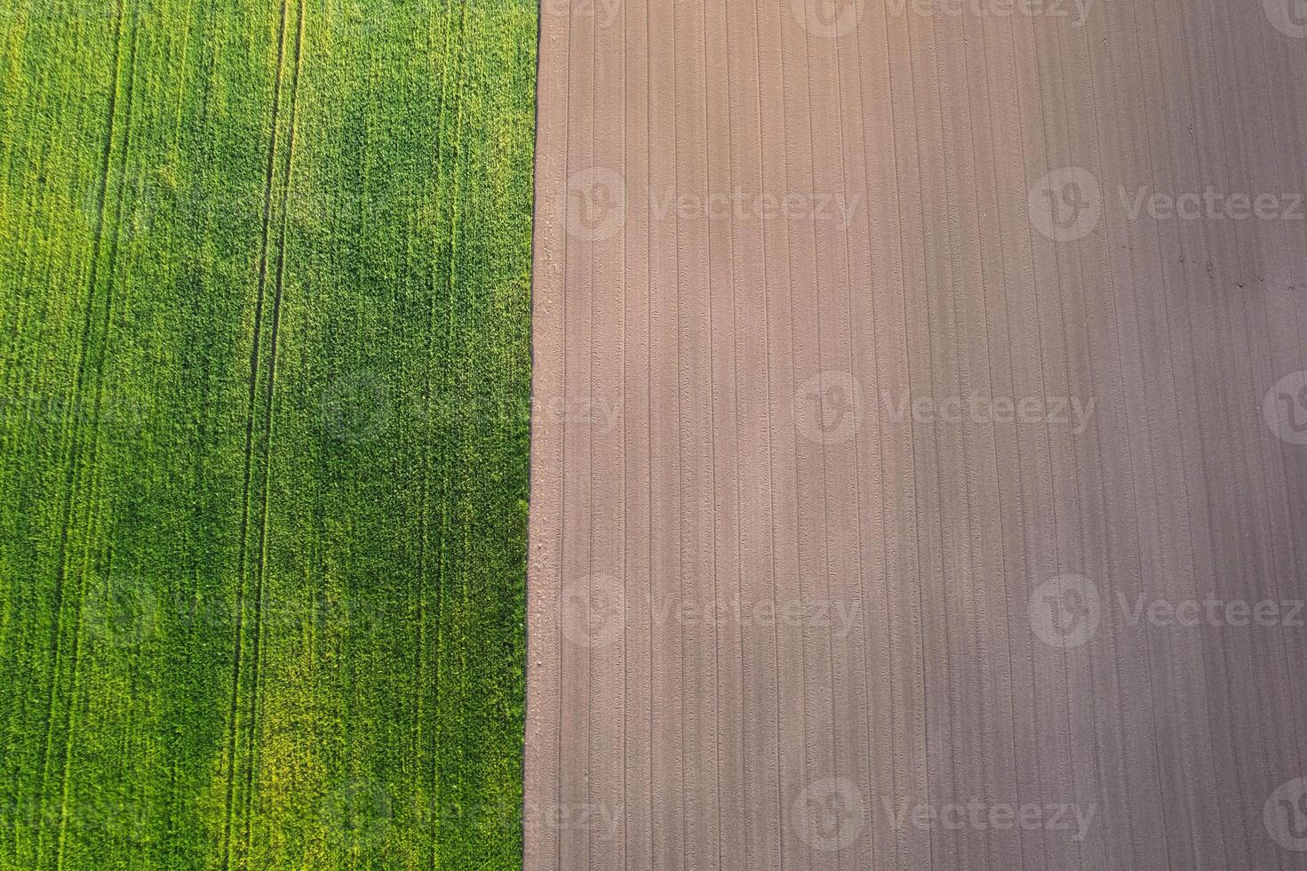 agricultural landscape from above with distinct textures, aerial top down view. Agricultural concept background photo