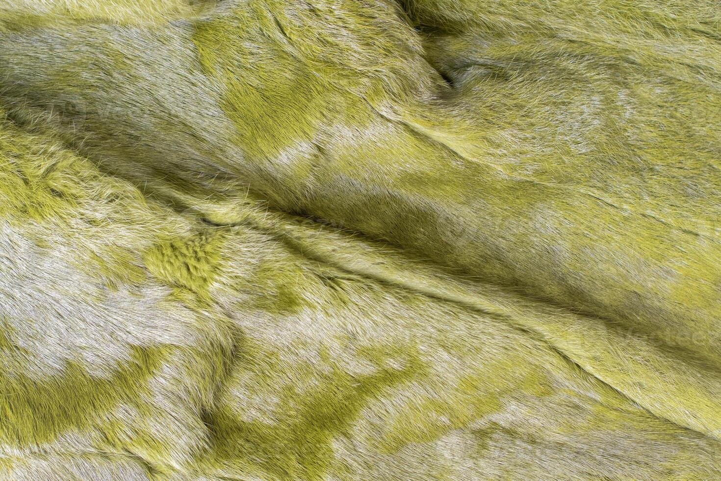 Soft green texture of fluffy fur, warm and pleasant to the touch surface, ideal for cold winter period or creating a cozy atmosphere in the interior, photo