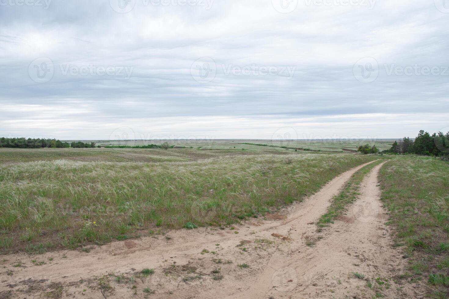 Two winding dirt roads converge and diverge, leading to a picturesque green meadow dotted with trees and shrubs under a cloudy sky, creating a serene and attractive natural landscape scene photo