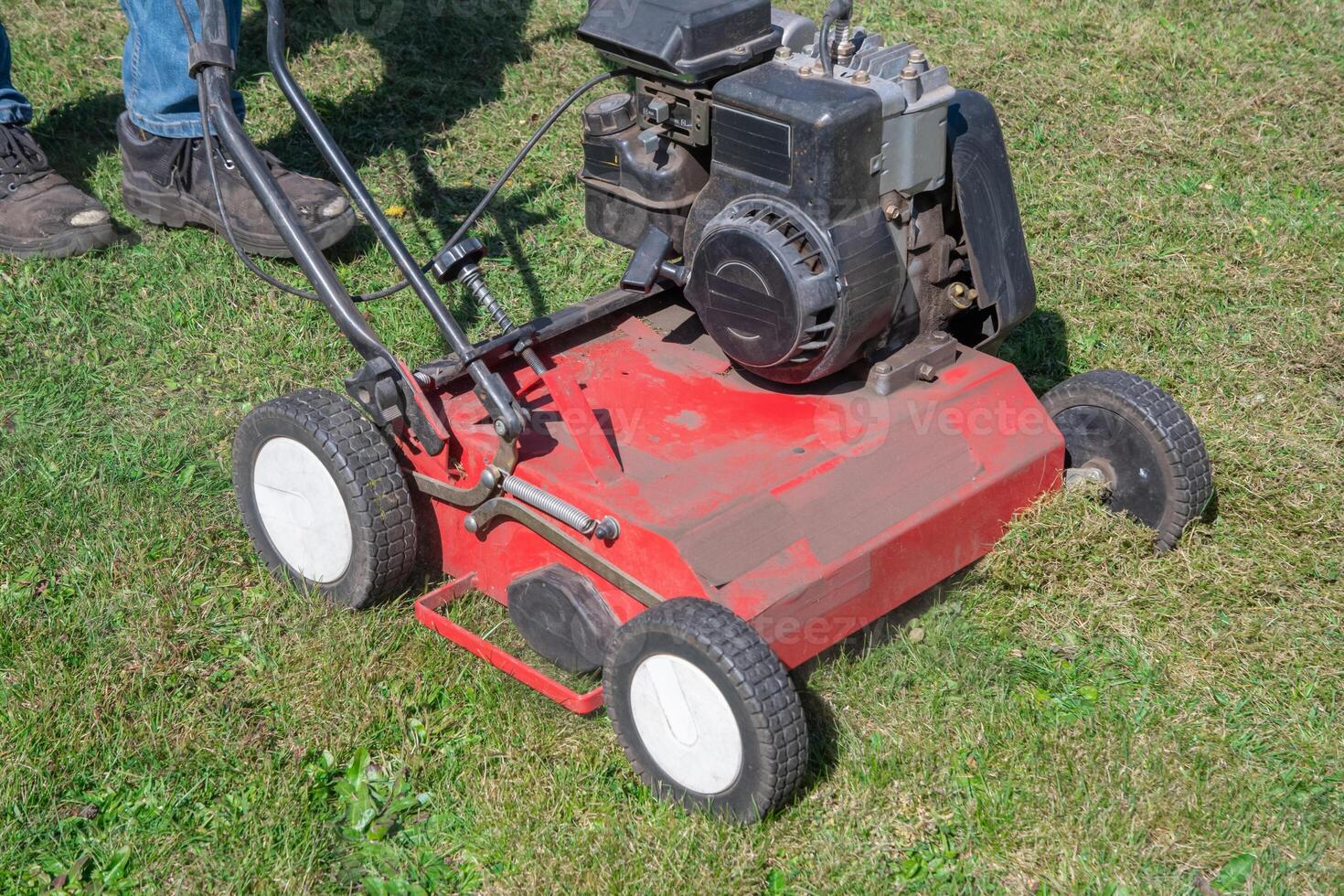 Gardener works with a scarifier, removing moss and thatch from a lawn, improving its health and appearance seasonal Gardening on a bright sunny spring day, photo