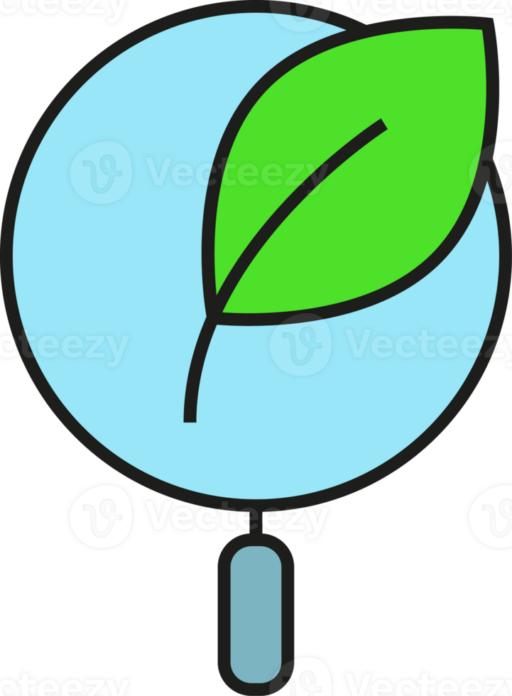 Magnifier and Leaf Icon png