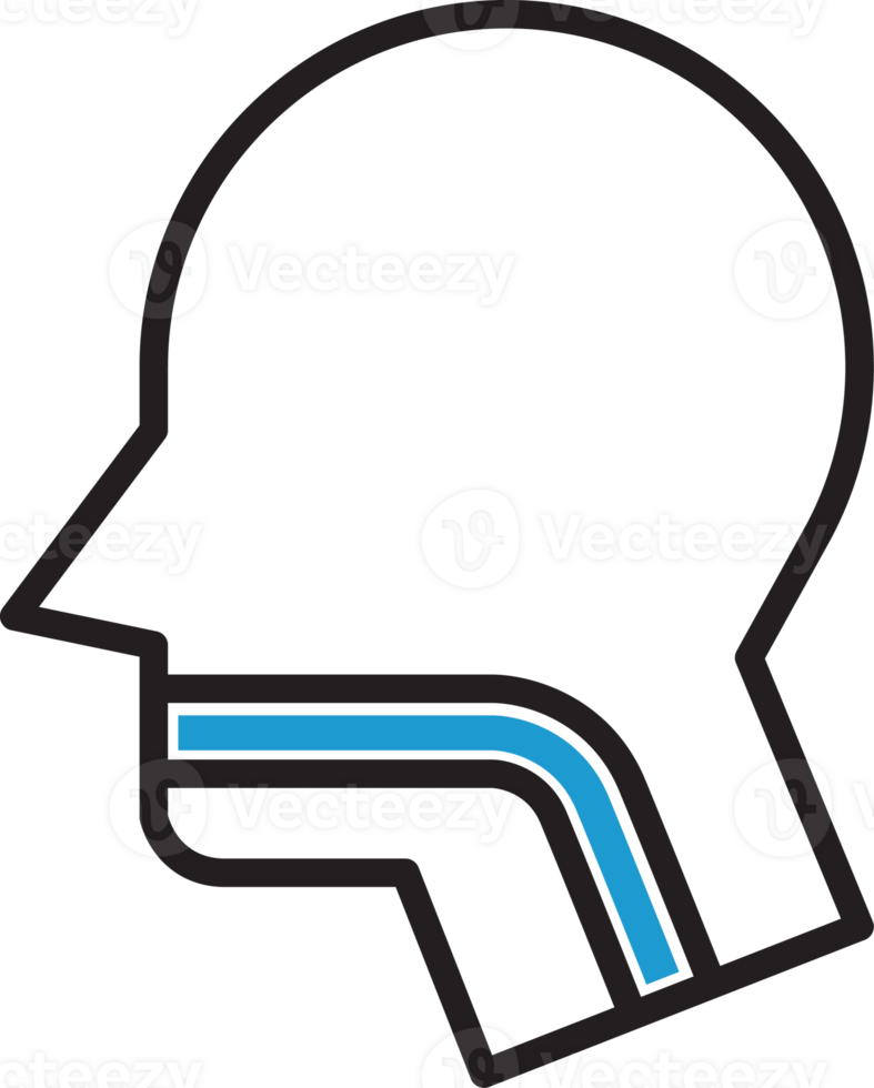 Digestive System Icon png
