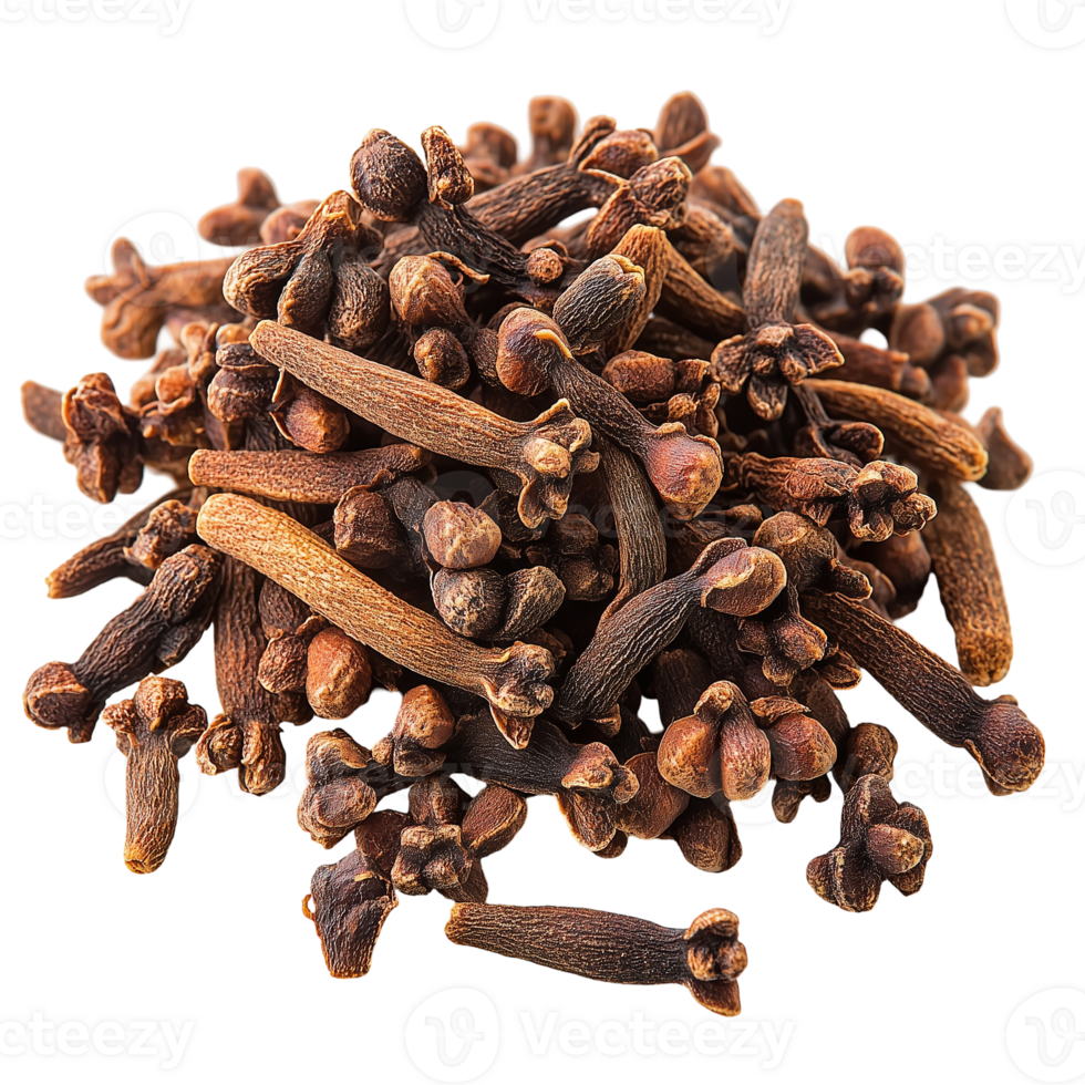 Cloves Spice Herb Flavoring on transparent background png
