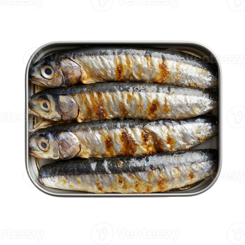 Grilled Sardines Tin Delicious Easy on transparent background png
