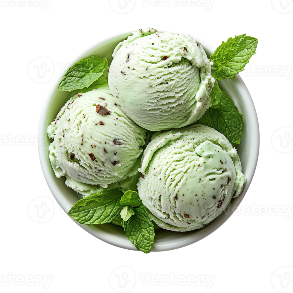 Delicious mint chocolate chip frozen dessert in a white bowl top isolated on transparent background png
