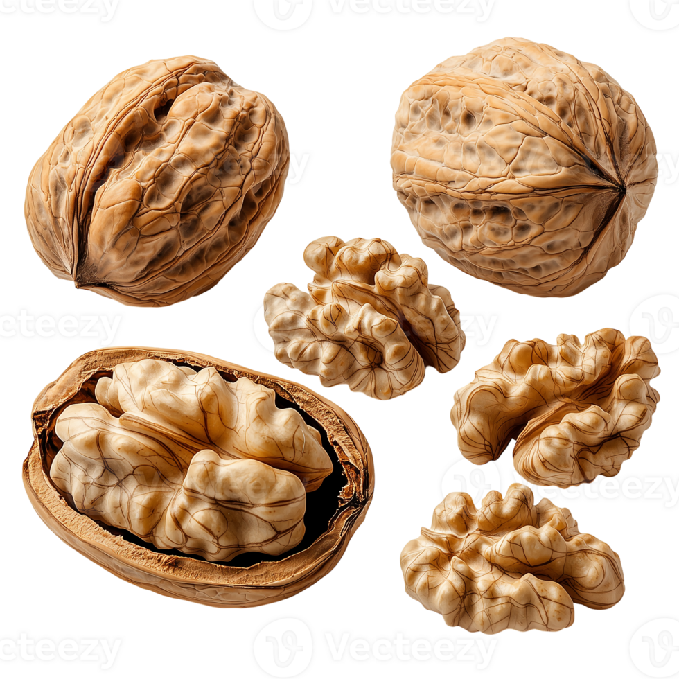 Walnuts shelled and unshelled nutritious food ingredient close up view isolated on transparent background png