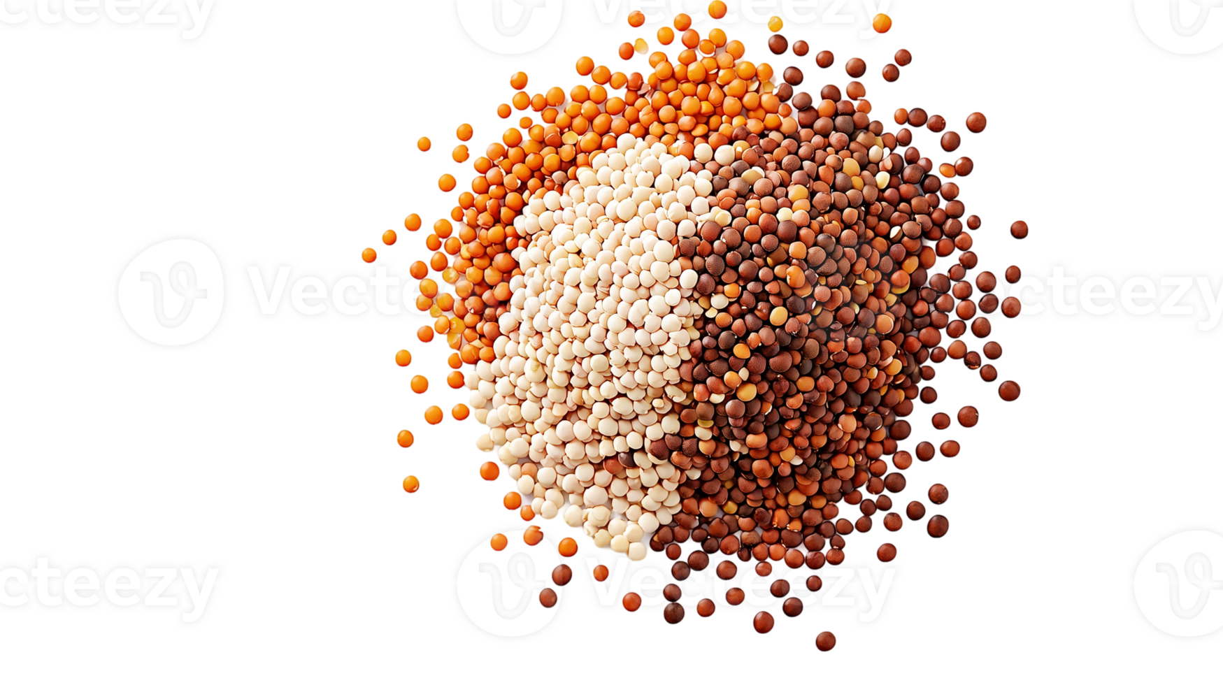 Assorted lentils and seeds for cooking and healthy eating concept isolated on transparent background png