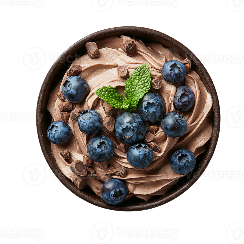 Delicious chocolate dessert with fresh blueberries and mint leaves isolated on transparent background png