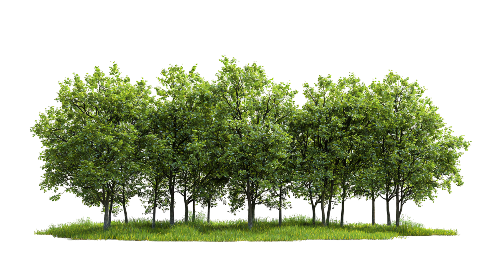 Lush green trees foliage forest nature landscape isolated on transparent background png