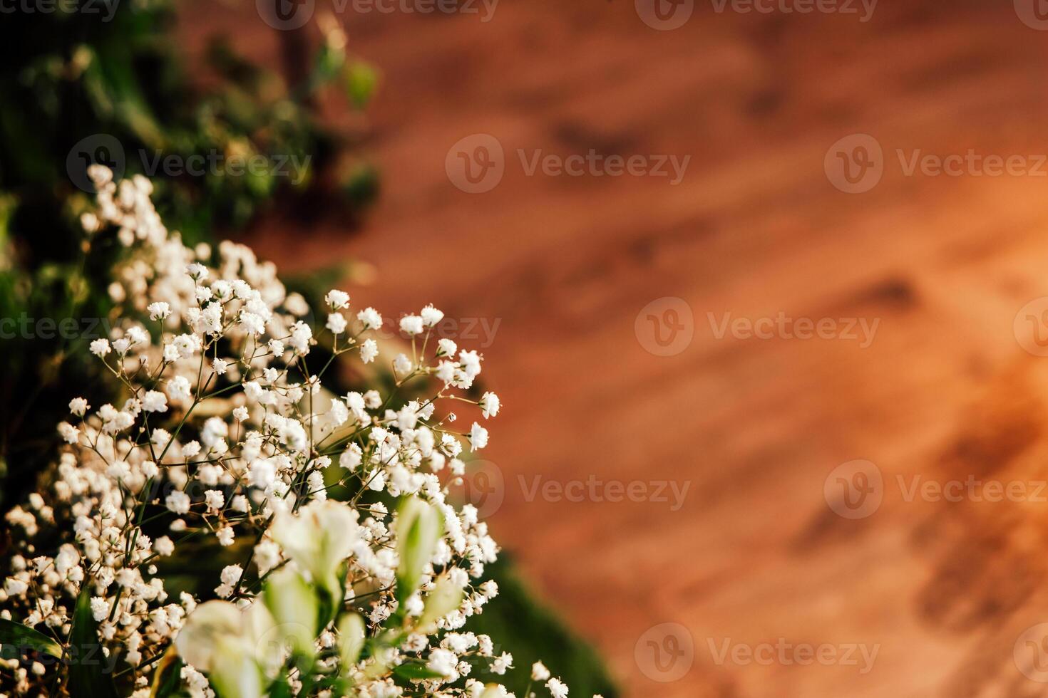 Beautiful flowers brighten up a wooden interior during a sunny afternoon photo