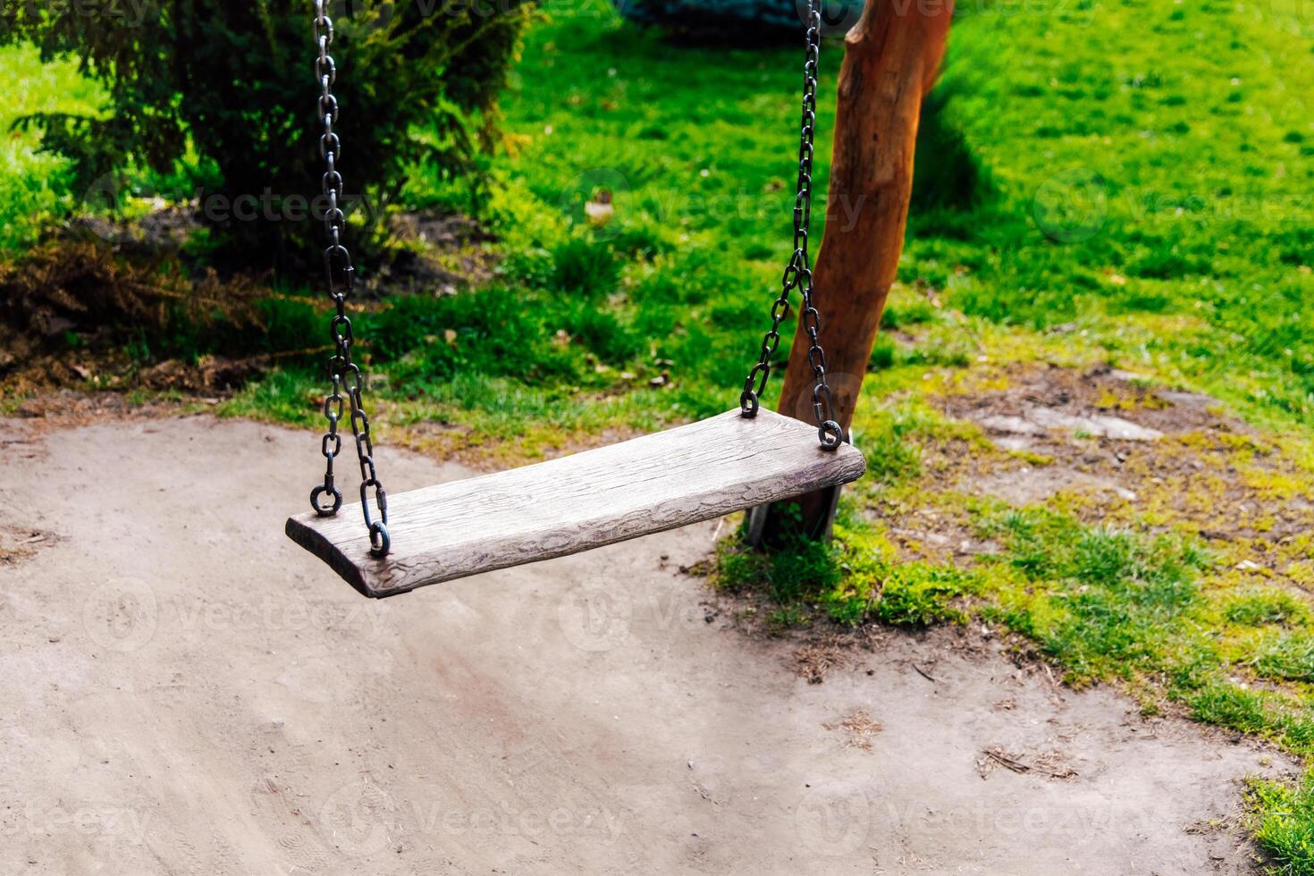 Swing hanging in a green park surrounded by trees and grass in bright sunny weather photo