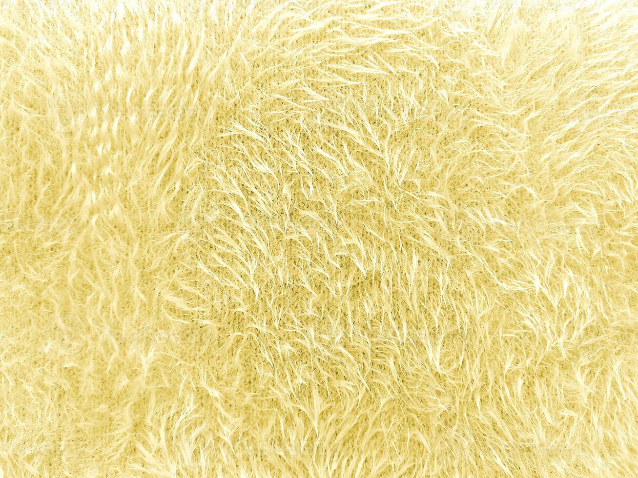 Yellow Furr Texture Background - Fur Background photo