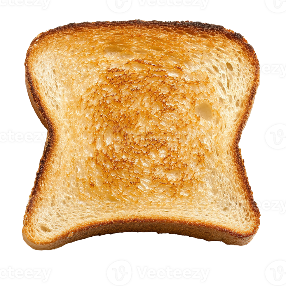 Slice of Delicious Toasted Bread Toast Isolated at Transparent Background. Cut Out png