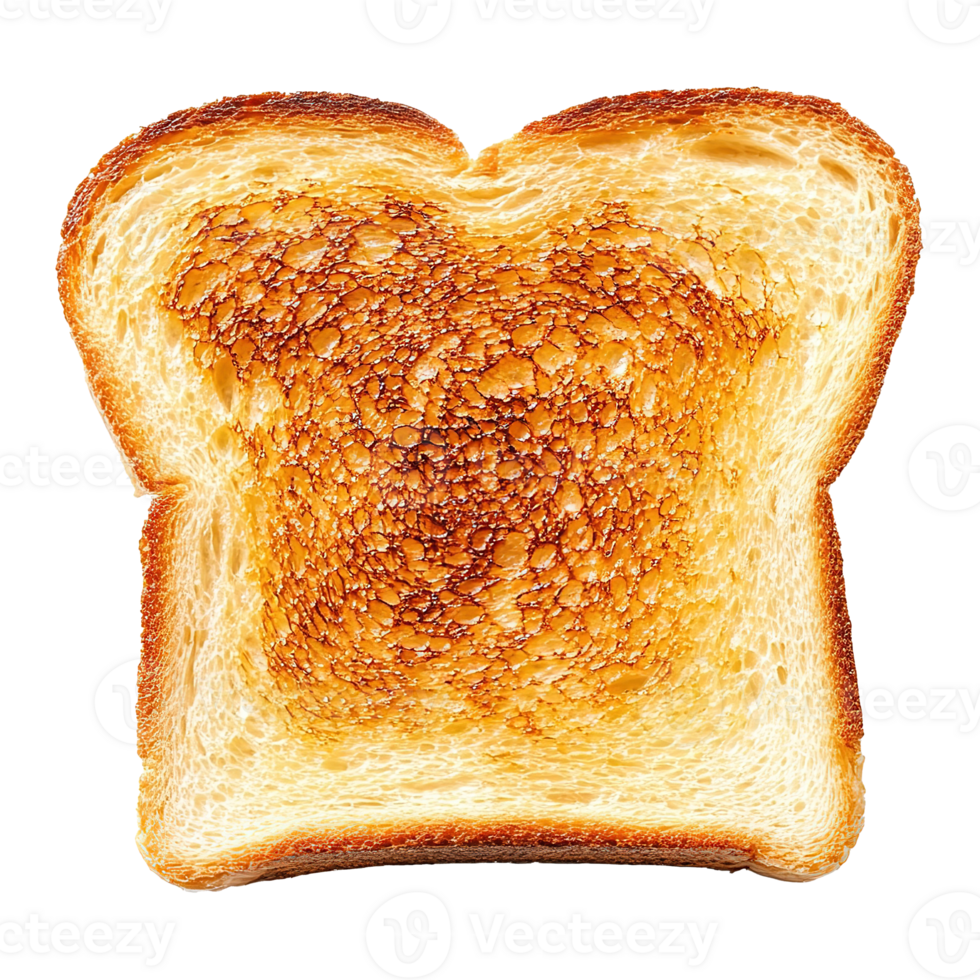 Slice of Delicious Toasted Bread Toast Isolated on the Transparent Background. Cut Out png