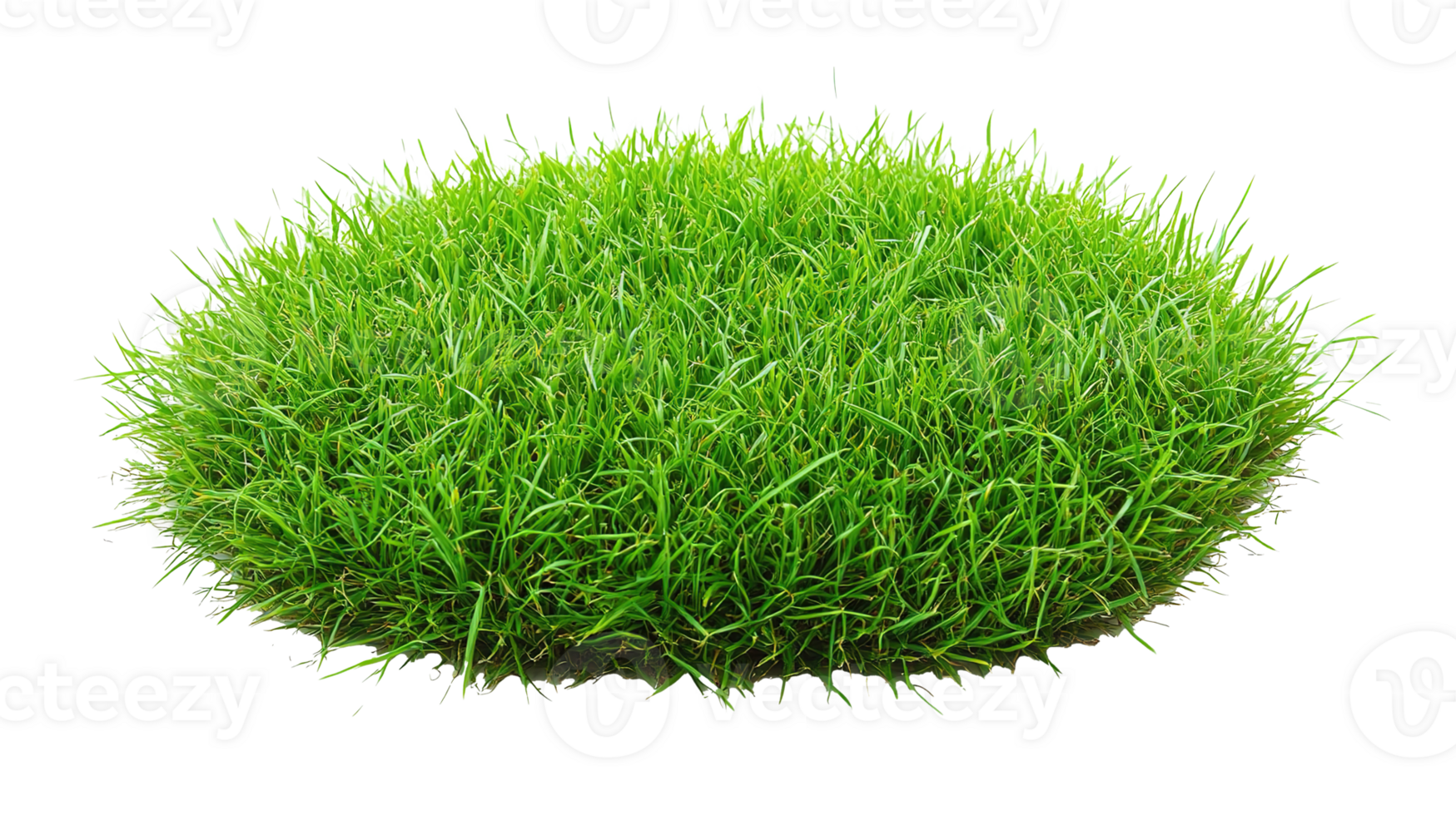 Patch of Fresh Green Lawn Grass Isolated at Transparent Background. Cut Out png