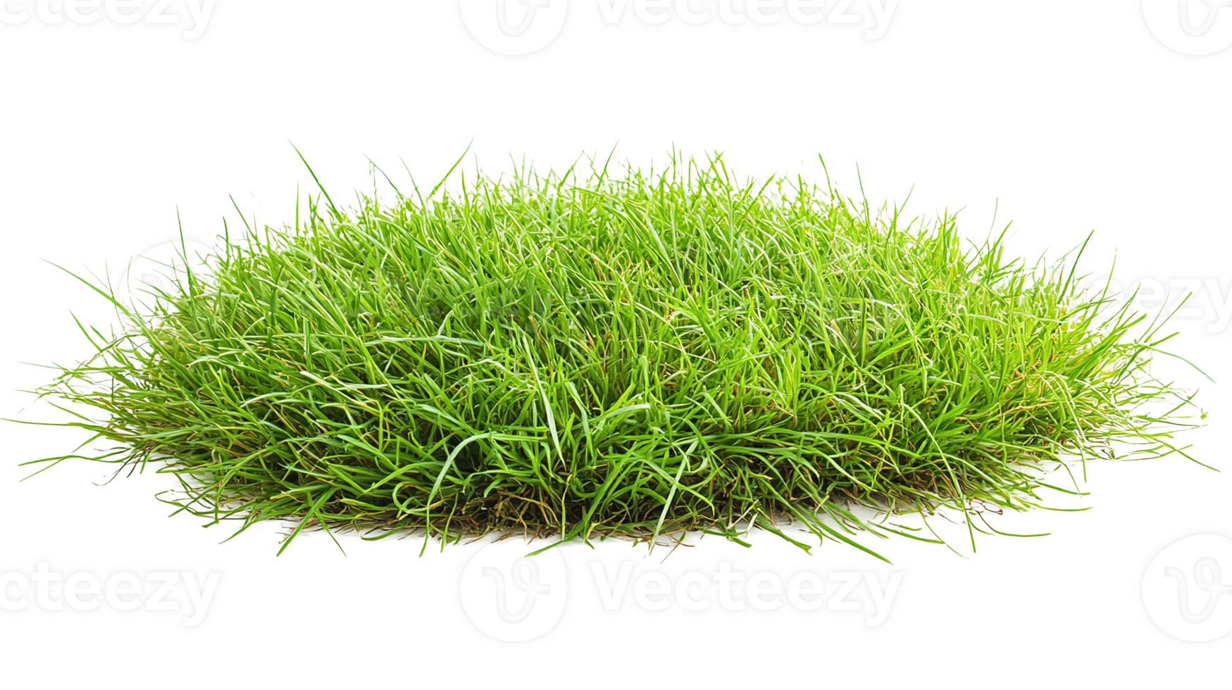 Patch of Fresh Green Lawn Grass Isolated on the Transparent Background. Cut Out png