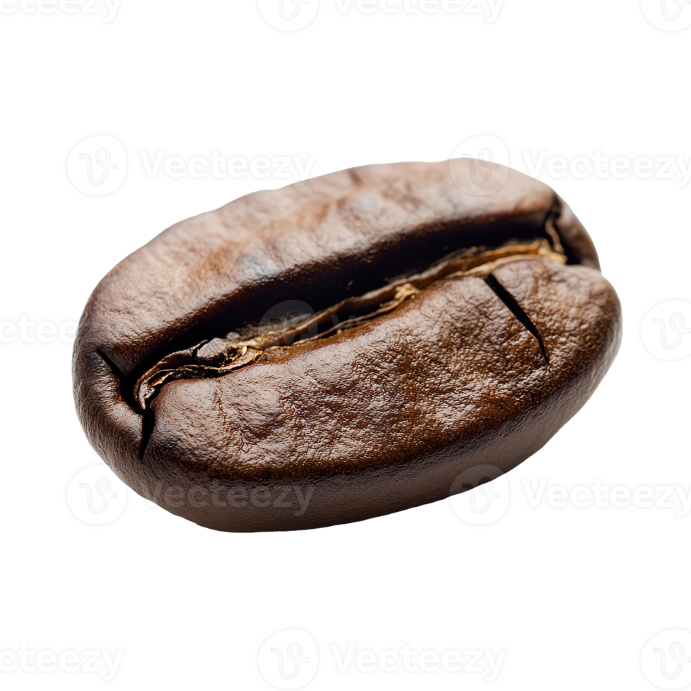 Delicious Coffee Bean Isolated at Transparent Background png