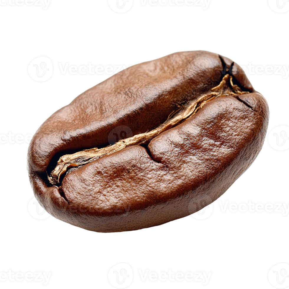 Delicious Coffee Bean Isolated on the Transparent Background png