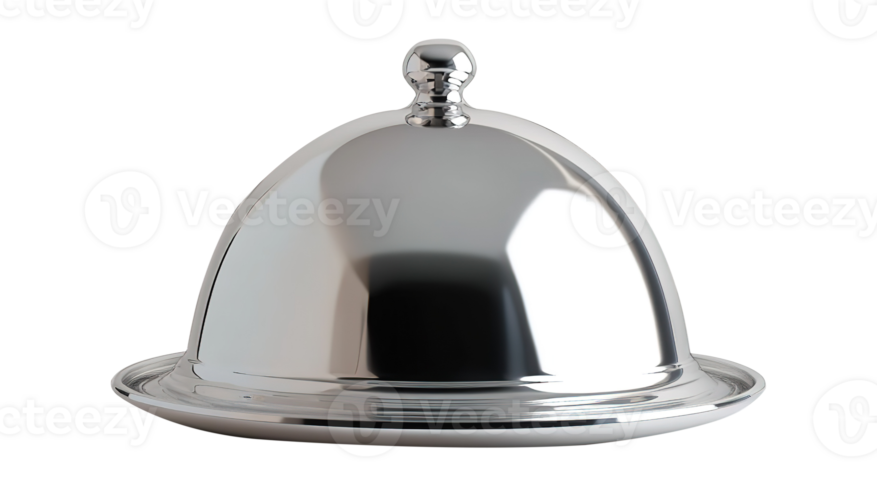 Shiny Silver Cloche Isolated at Transparent Background png
