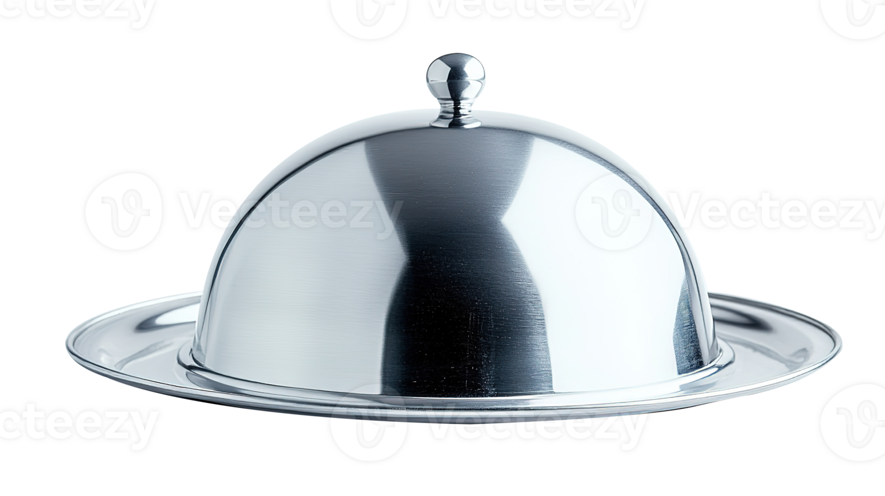 Shiny Silver Cloche Isolated at the Transparent Background png