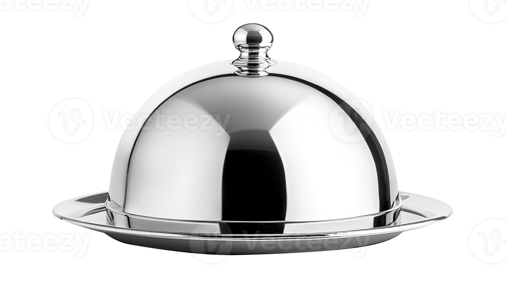 Shiny Silver Cloche Isolated on the Transparent Background png